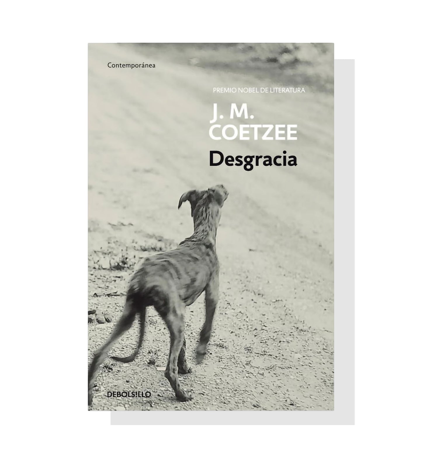 Desgracia