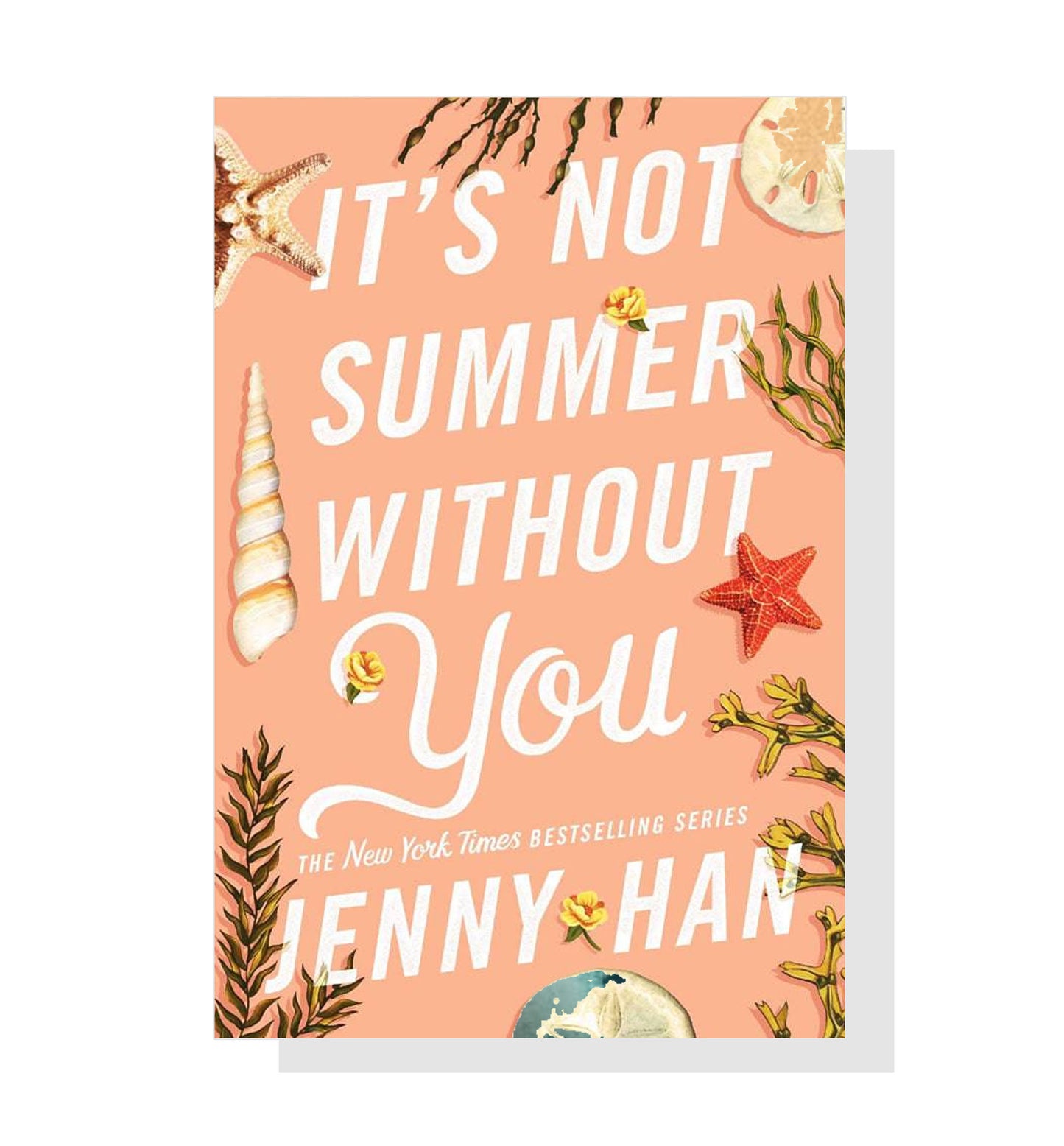 The Summer I Turned Pretty #2: It's Not Summer Without You