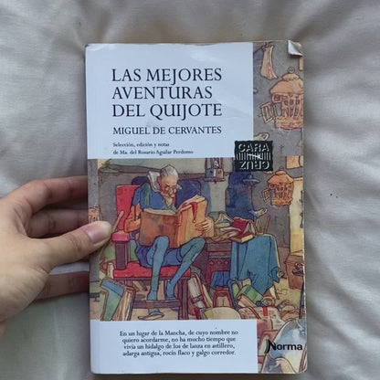Las Mejores Aventuras del Quijote