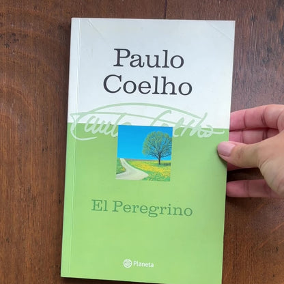 El Peregrino de Compostela